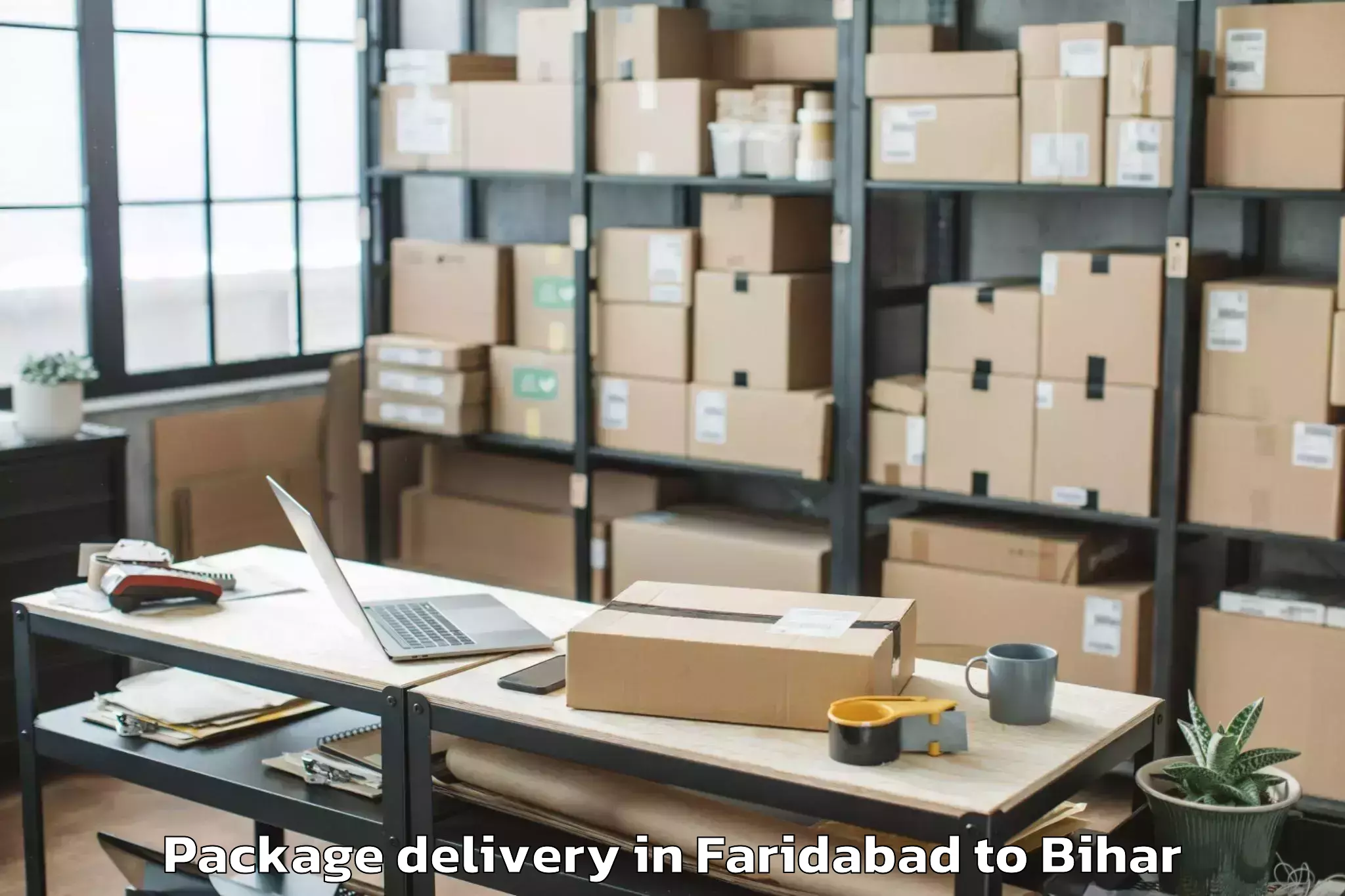 Book Faridabad to Harsidhi Pakariya Package Delivery